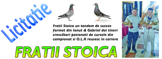 https://www.columbofil.net/index.php?act=licitatii&id=2455